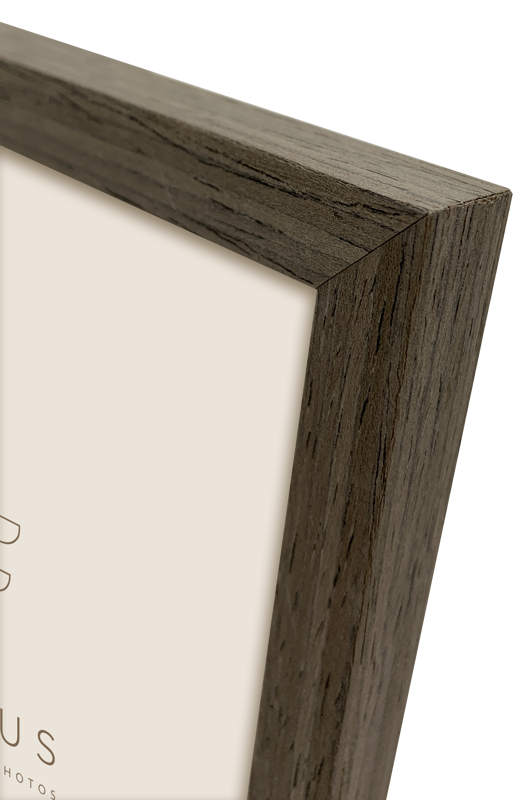 Rama Focus Willow Walnut 30x45 [2]