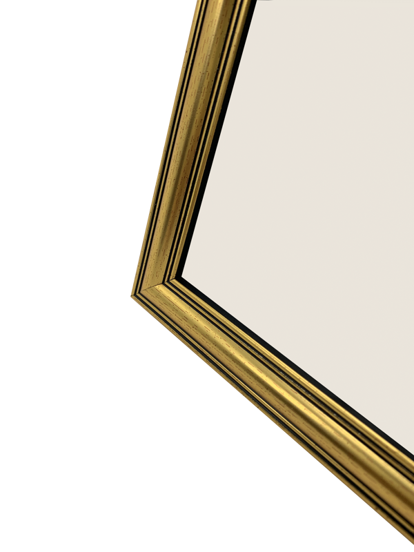 Rama Focus Holly Gold 18x24 [2]