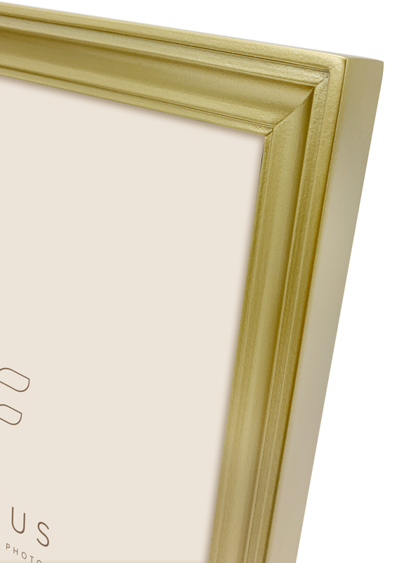 Rama Focus Calla Gold 18x24 [2]