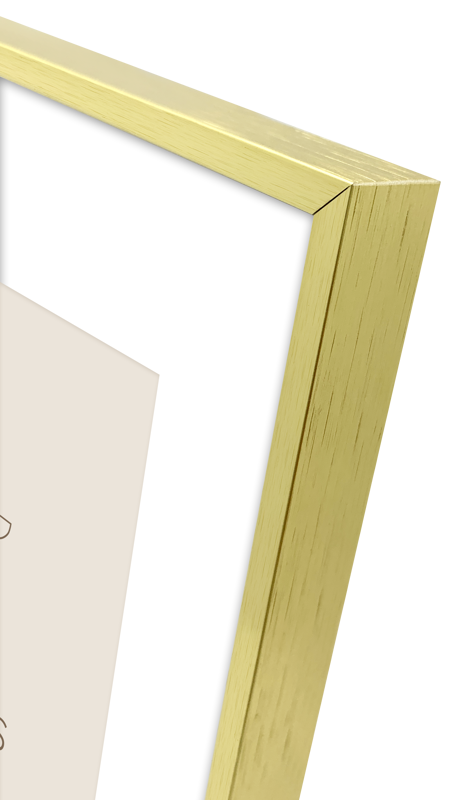 Rama Focus Aster Gold 40x50/PP 30x40 [2]