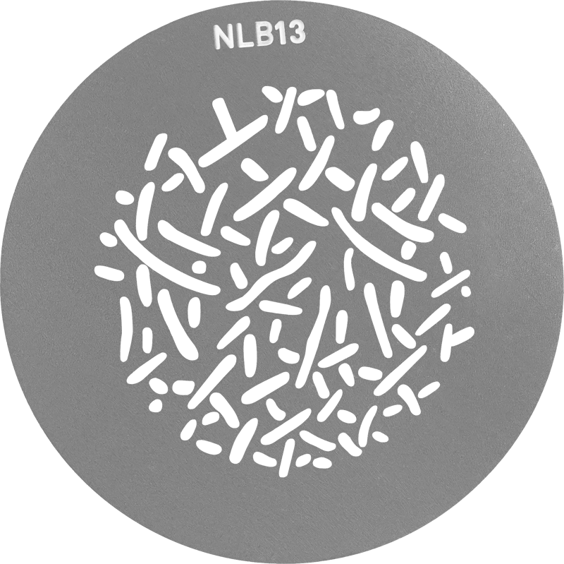 Set GOBO Nanlite AS-GB-B-SET1 1 [3]