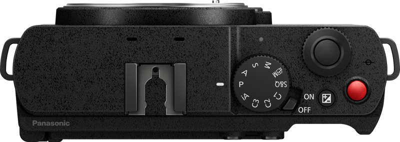 Aparat Foto Mirrorless Full Frame Panasonic Lumix S9 Body, Smokey White [3]