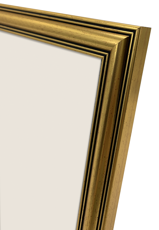 Rama Focus Holly Gold 30x40 [3]