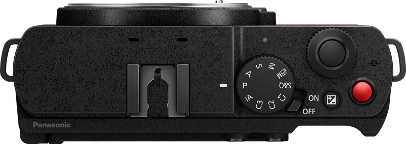 Aparat Foto Mirrorless Full Frame Panasonic Lumix S9 Body, Crimson Red [4]