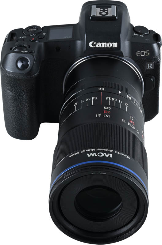 Obiectiv Laowa 100mm f/2.8 2x Ultra Macro APO Lens montura Canon RF [4]