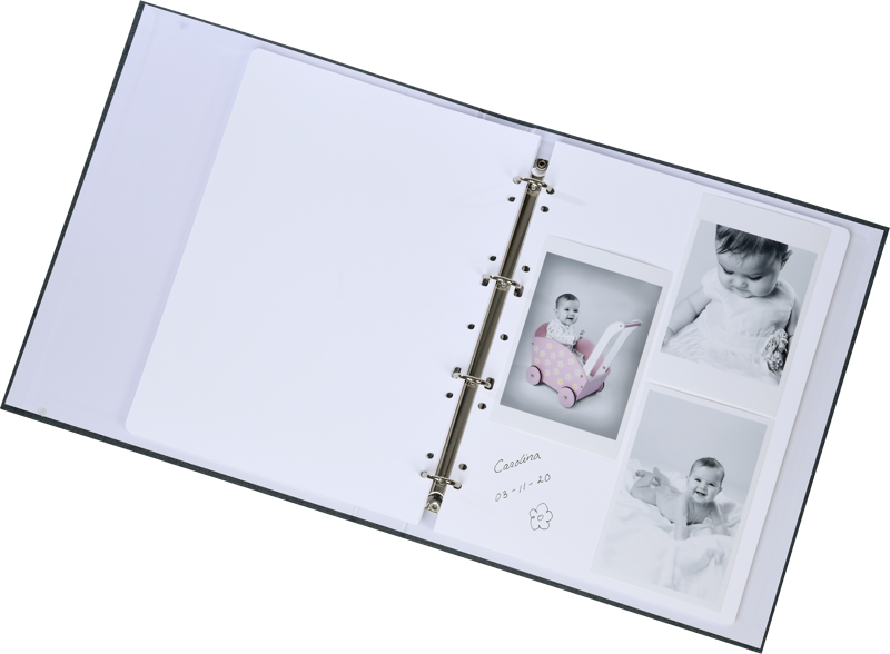 Album Focus Essence Ringbinder Grey [2]