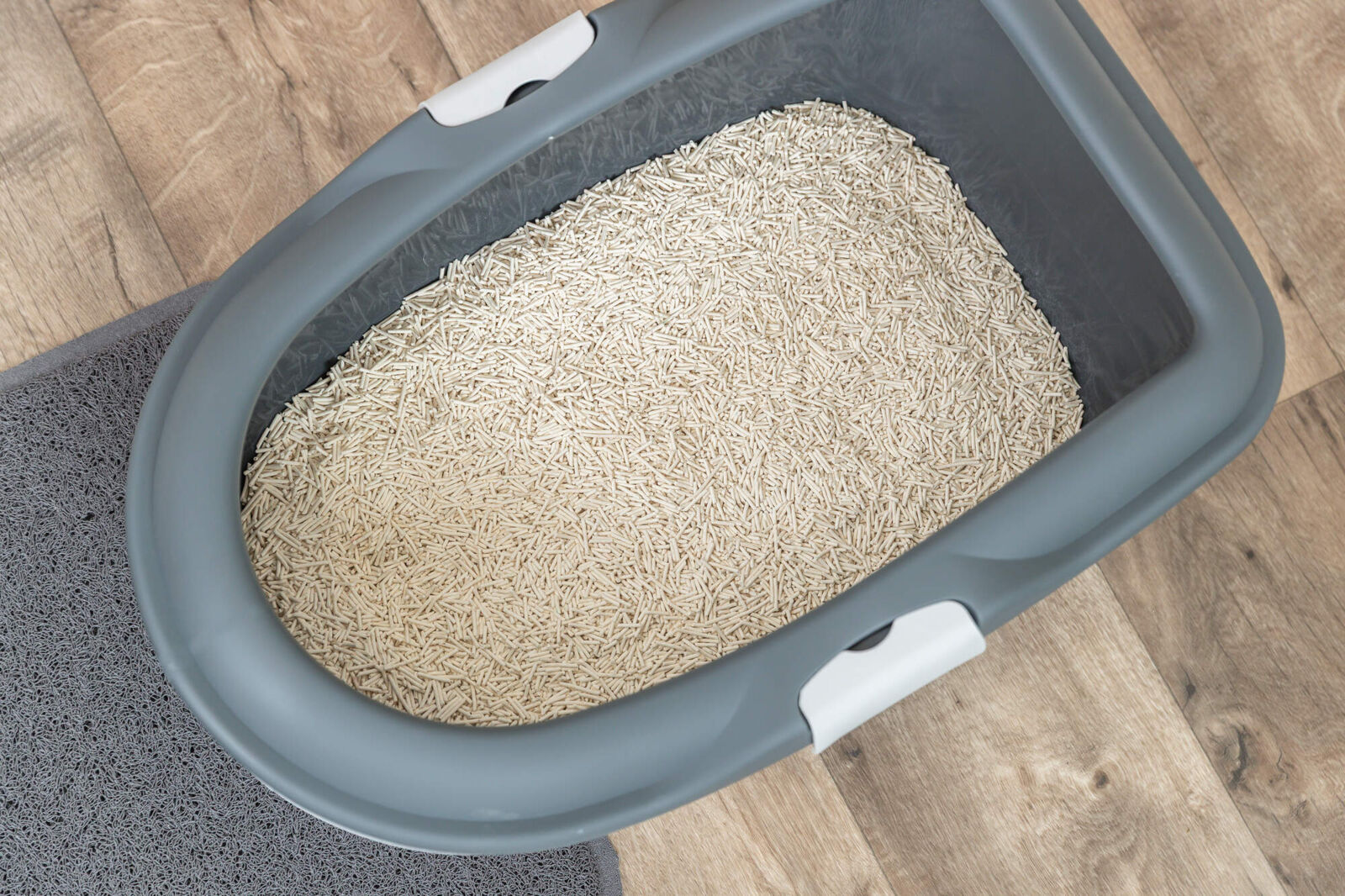 Asternut Tofu, 2.5 kg [4]