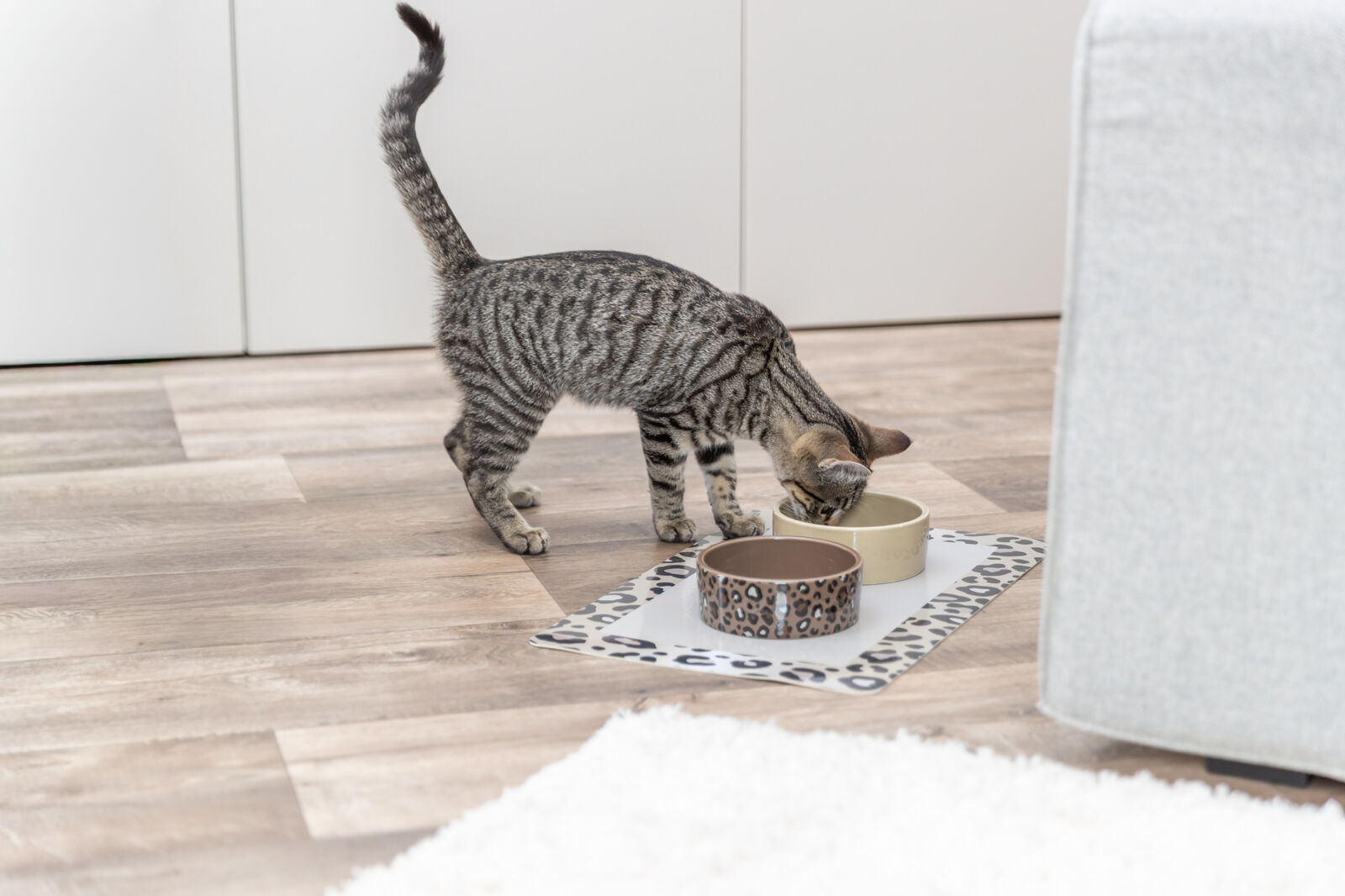 Castron Ceramic Mimi, Pentru Pisici, 0.3 l/ 12 cm, Diverse Culori [4]