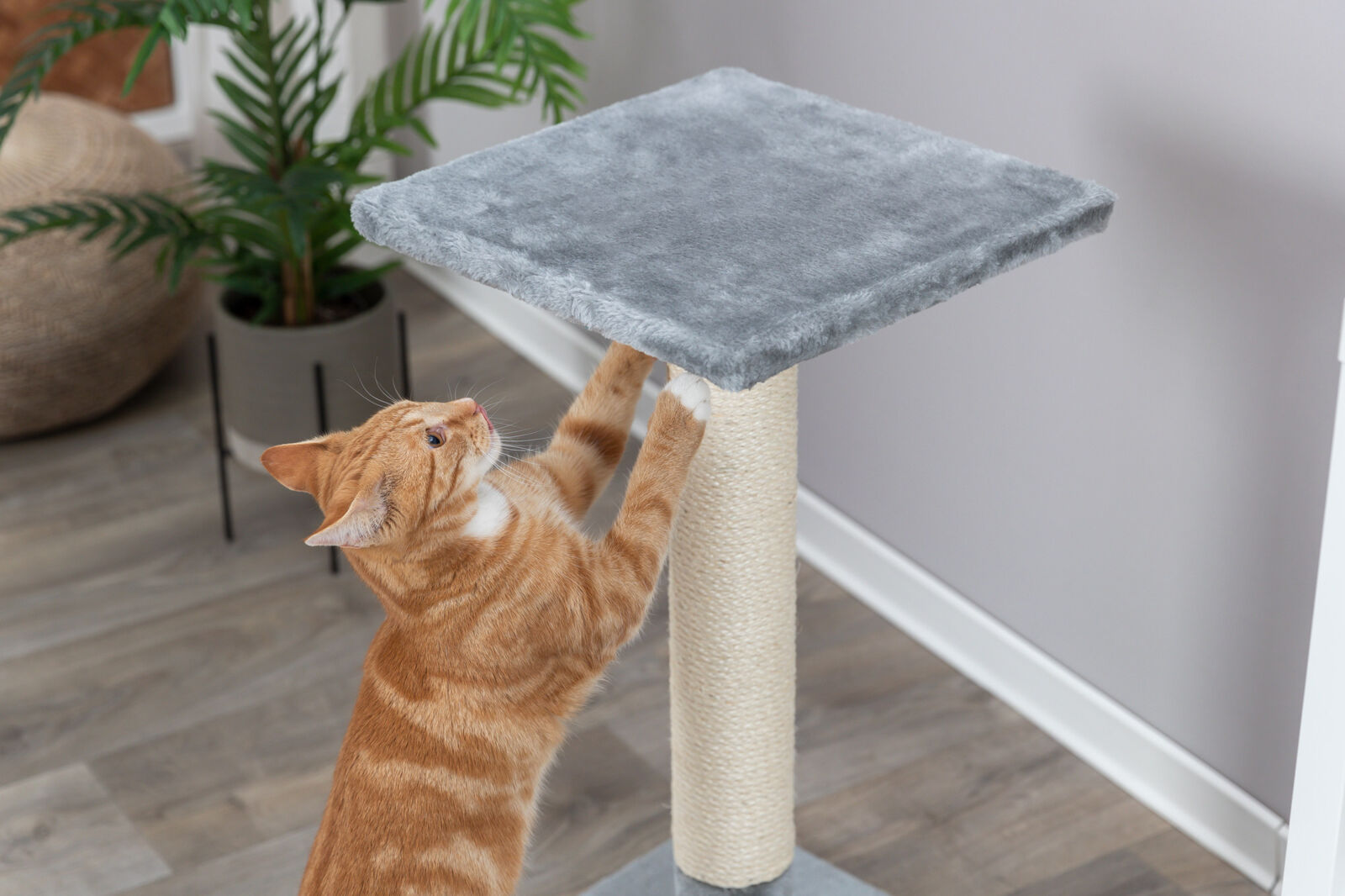 Stalp Sisal de Zgariat, Baena, 38 x 38 cm/ h: 69 cm, Gri [2]