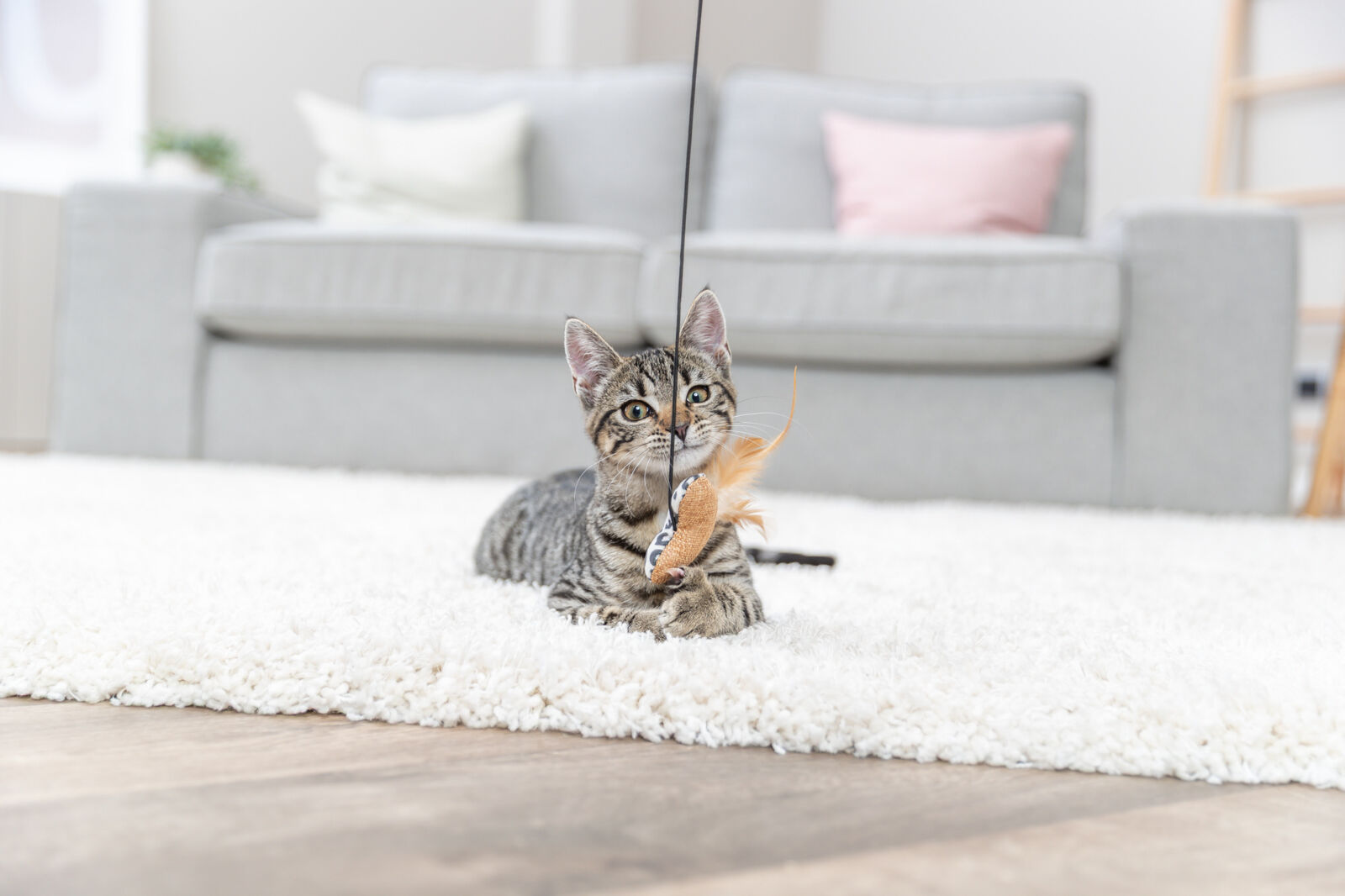 Jucarie Pentru Pisici, Undita cu Catnip, Inima, 50 cm [2]