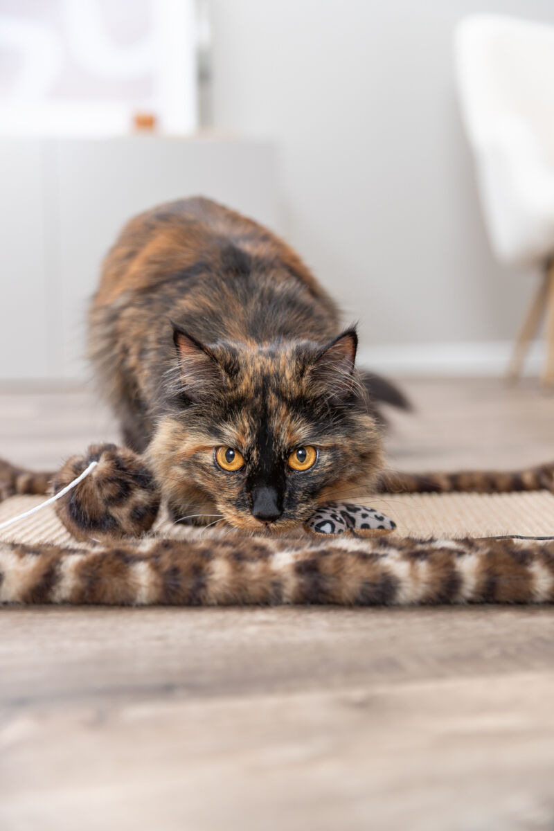 Jucarie Pentru Pisici, Undita cu Catnip, Inima, 50 cm [3]