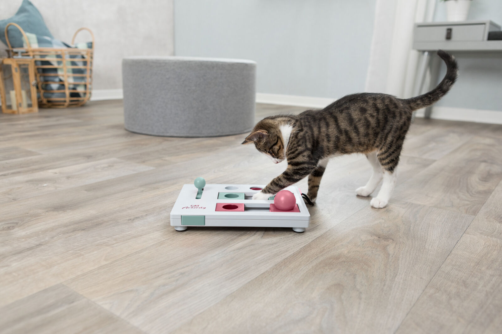 Jucarie Cat Activity, Brain Mover, 25 x 20 cm [2]