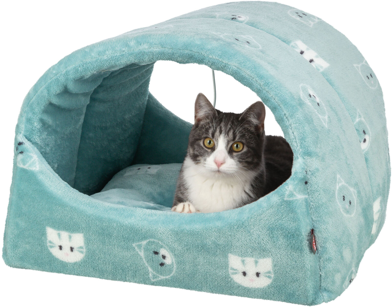 Petshop - Culcus Mimi, 42 x 35 x 35 cm, Salvie