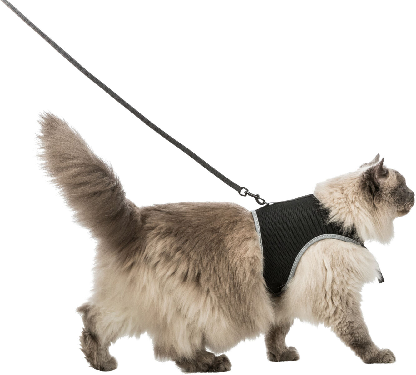 Accesorii animale de companie - Ham Si Lesa Soft Pentru Pisici, XXL: 36-54 cm/10 mm, 1.20 m, Negru
