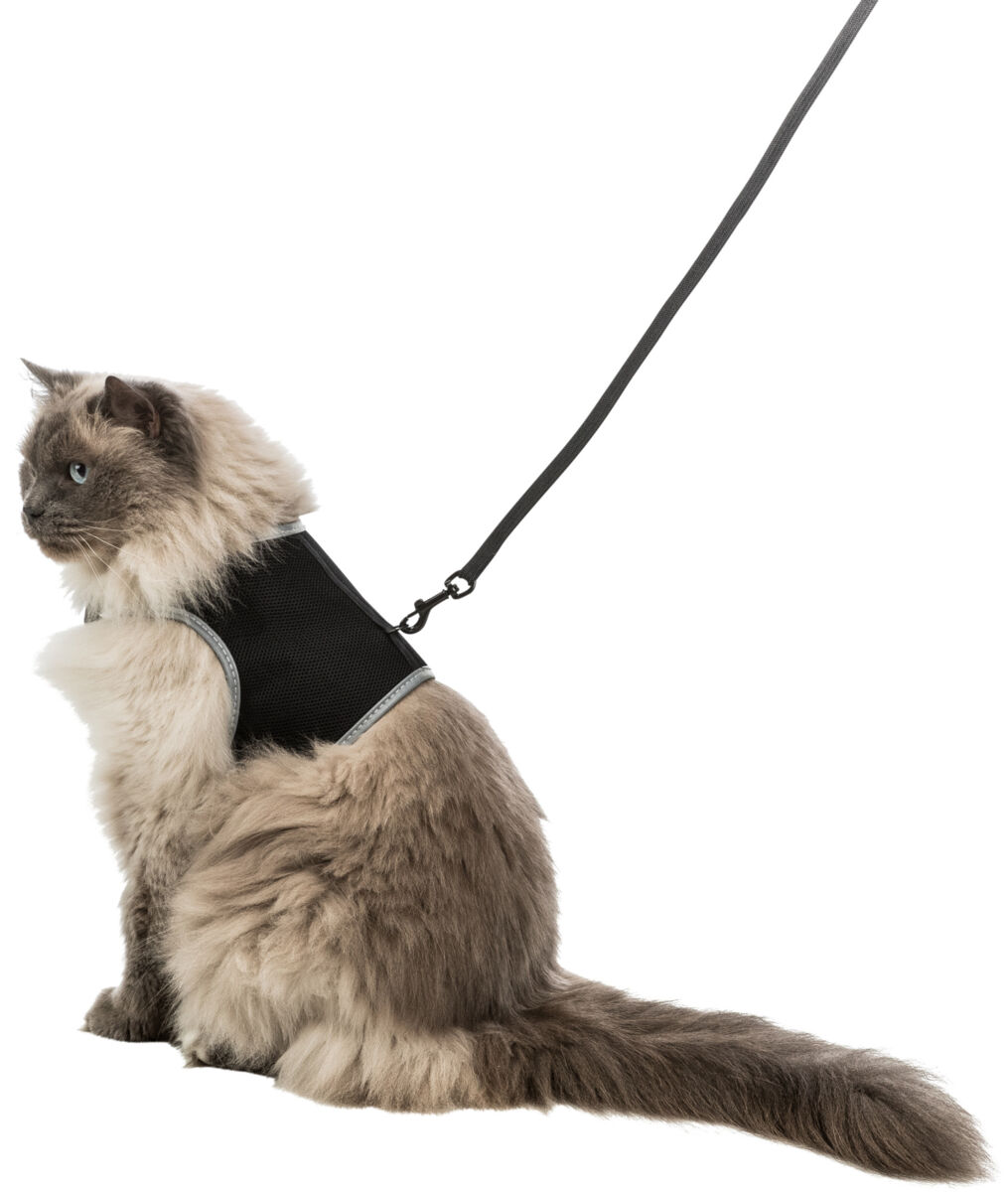Ham Si Lesa Soft Pentru Pisici, XXL: 36-54 cm/10 mm, 1.20 m, Negru [1]