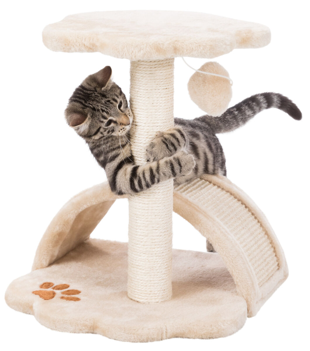 Petshop - Ansamblu de joaca, Junior Vitoria, 36 x 36 cm/ h: 43 cm, Bej