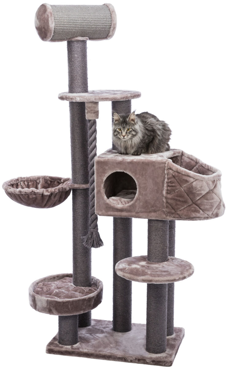 Petshop - Ansamblu Cat Tree XXL Andres, 70 x 48 x 190 cm, Capuccino