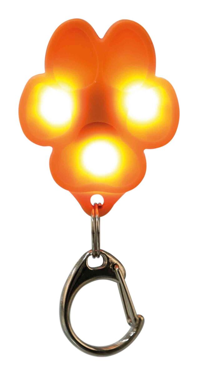 Flasher USB pentru Zgarda Cainilor, 3.5 x 4.3 cm, Diverse Culori [2]