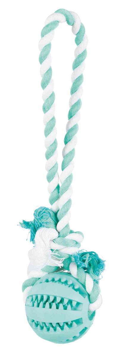 Petshop - Jucarie Pentru Caini, Denta Fun, Minge De Cauciuc Pe Sfoara, Aroma Menta, 7/24 cm