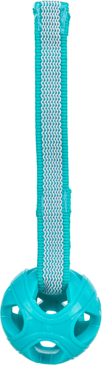 Jucarie Pentru Caini, Minge cu Franghie, TPE, 6 cm/23 cm [1]