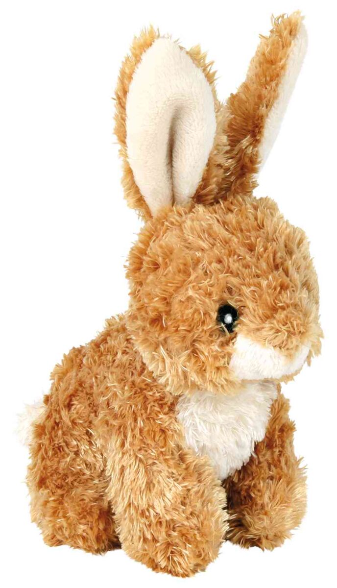 Petshop - Jucarie Pentru Caini, Be Eco, Iepure, Plus, Cu Sunet, 15 cm
