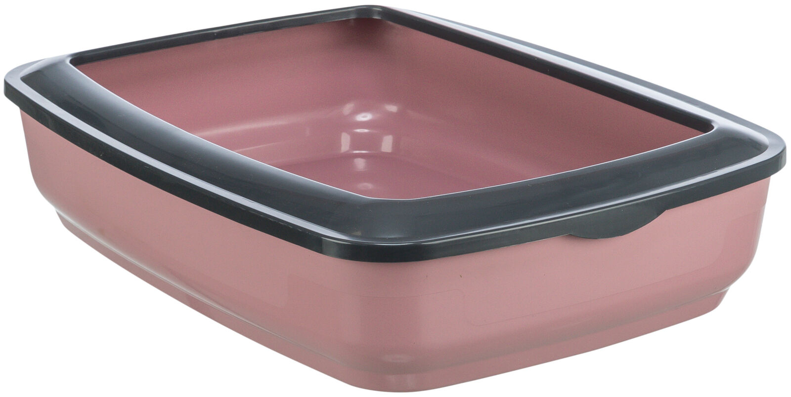 Litiere - Litiera Brisko, cu Rama, 38 x 12 x 50 cm, Diverse Culori