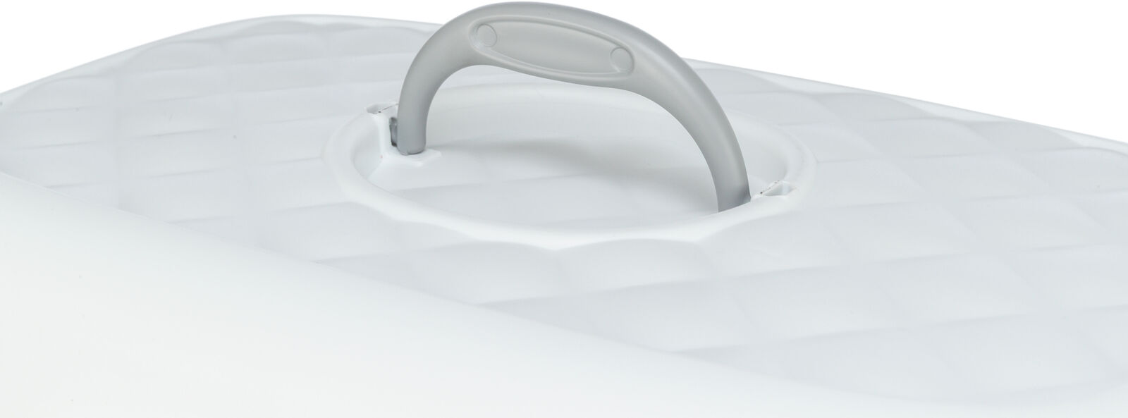 Litiera Davio Top, Cu Capac, 56 x 39 x 39 cm, Salvie/Alb [4]