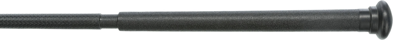 Jucarie Pentru Pisici, Undita XXL Cu Peste, 65 cm [1]