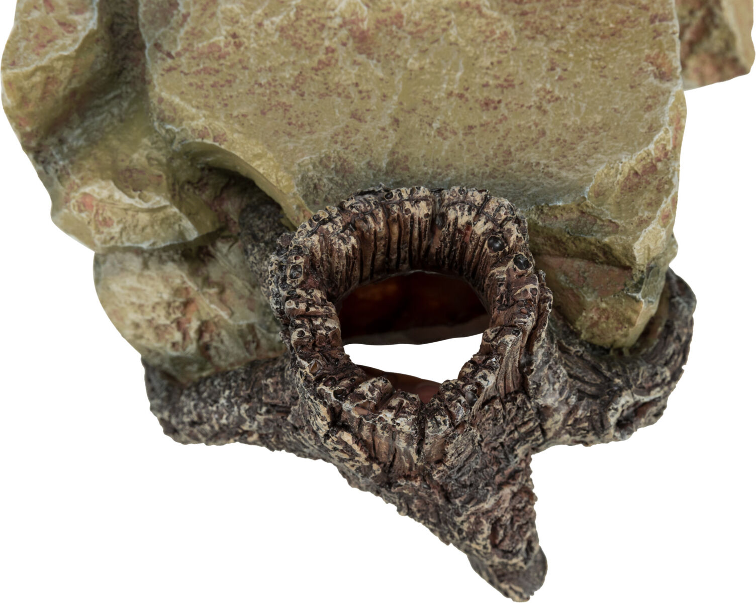 Decor Platou Stanca L25 cmxLatime 14 cmx9 cm [3]