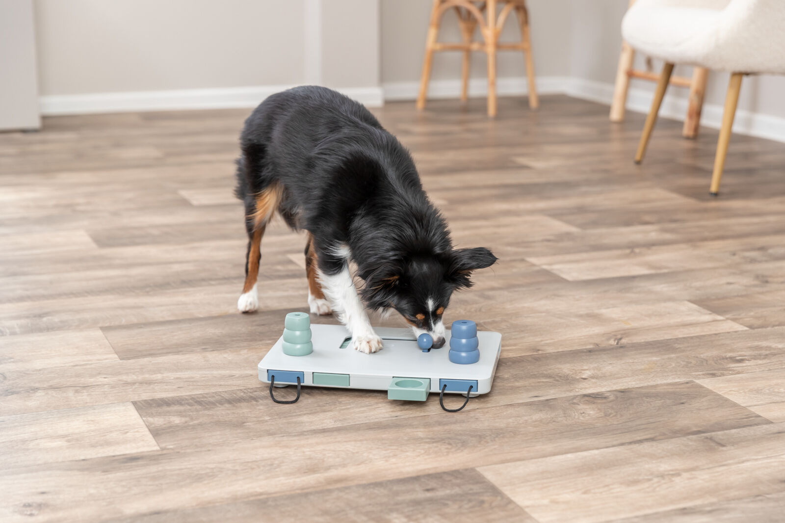 Jucarie Dog Activity, Move2Win, 34 x 13 cm [5]