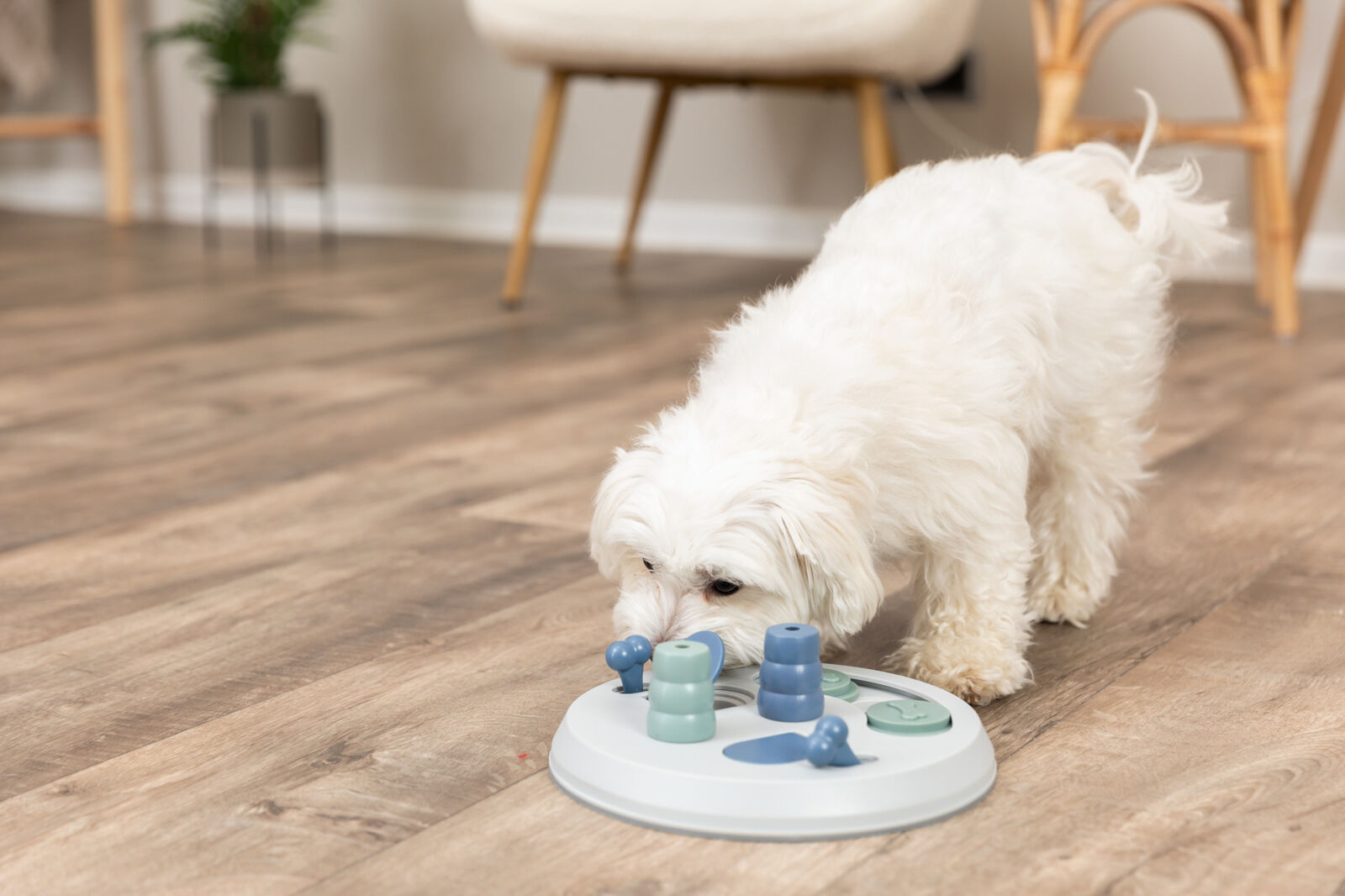 Jucarie Dog Activity, Flip Board Strategy, 23 cm [2]