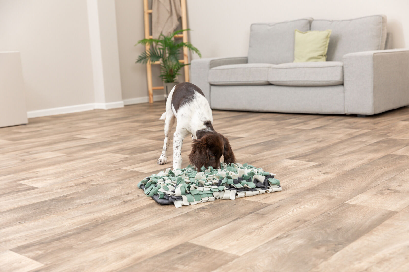 Jucarie Dog Activity Sniffing Carpet, 50 x 34 cm [2]