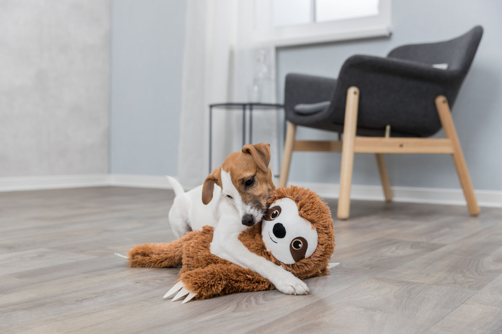 Jucarie Pentru Caini, Lenes, Plus, Cu Sunet, 56 cm [2]