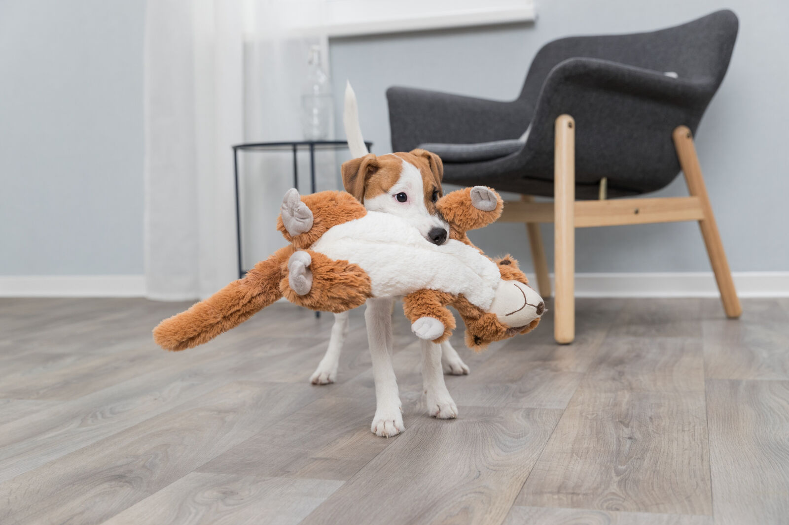 Jucarie Pentru Caini, Suricata, Plus, Cu Sunet, 40 cm [2]