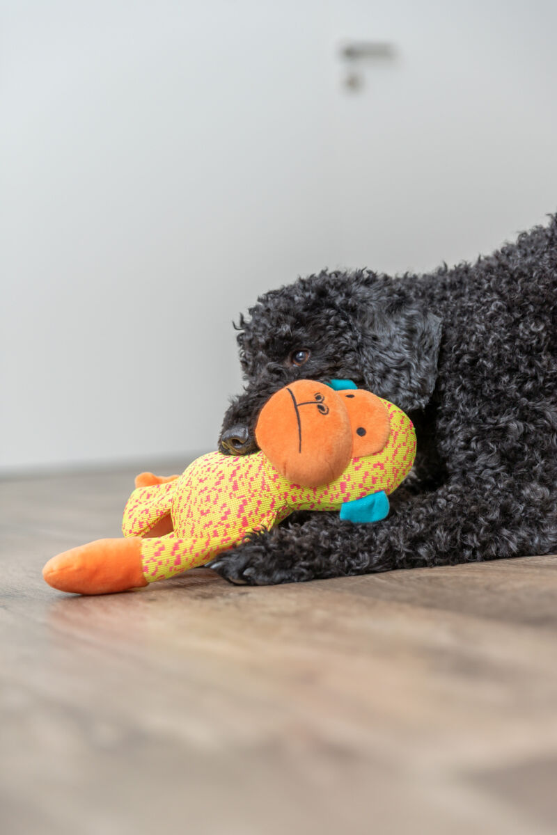 Jucarie Maimuta, Plush, 27 cm [2]