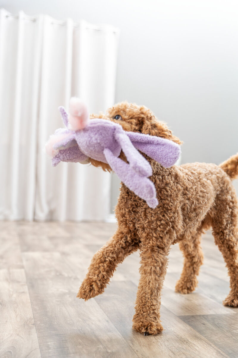 Jucarie Pentru Caini, Unicorn, Poliester, 33 cm [2]