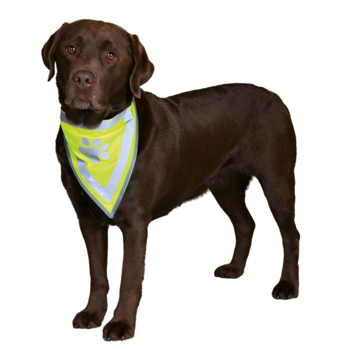 Esarfa Reflectorizanta, Bandana, L-XL: 43-60 cm [1]