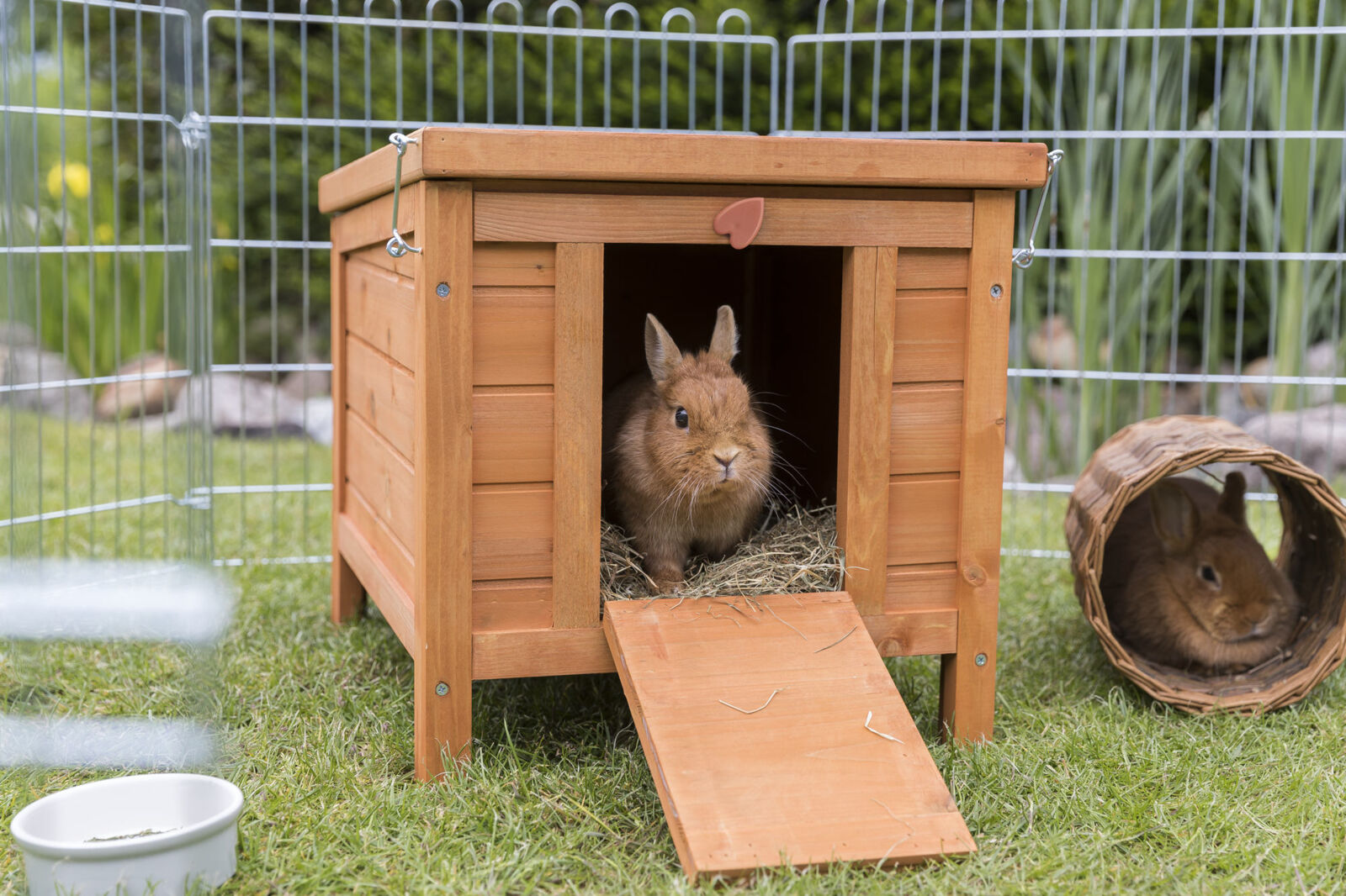 Petshop - Casuta pentru Rozatoare, Lemn, 42 x 43 x 51 cm, Maro