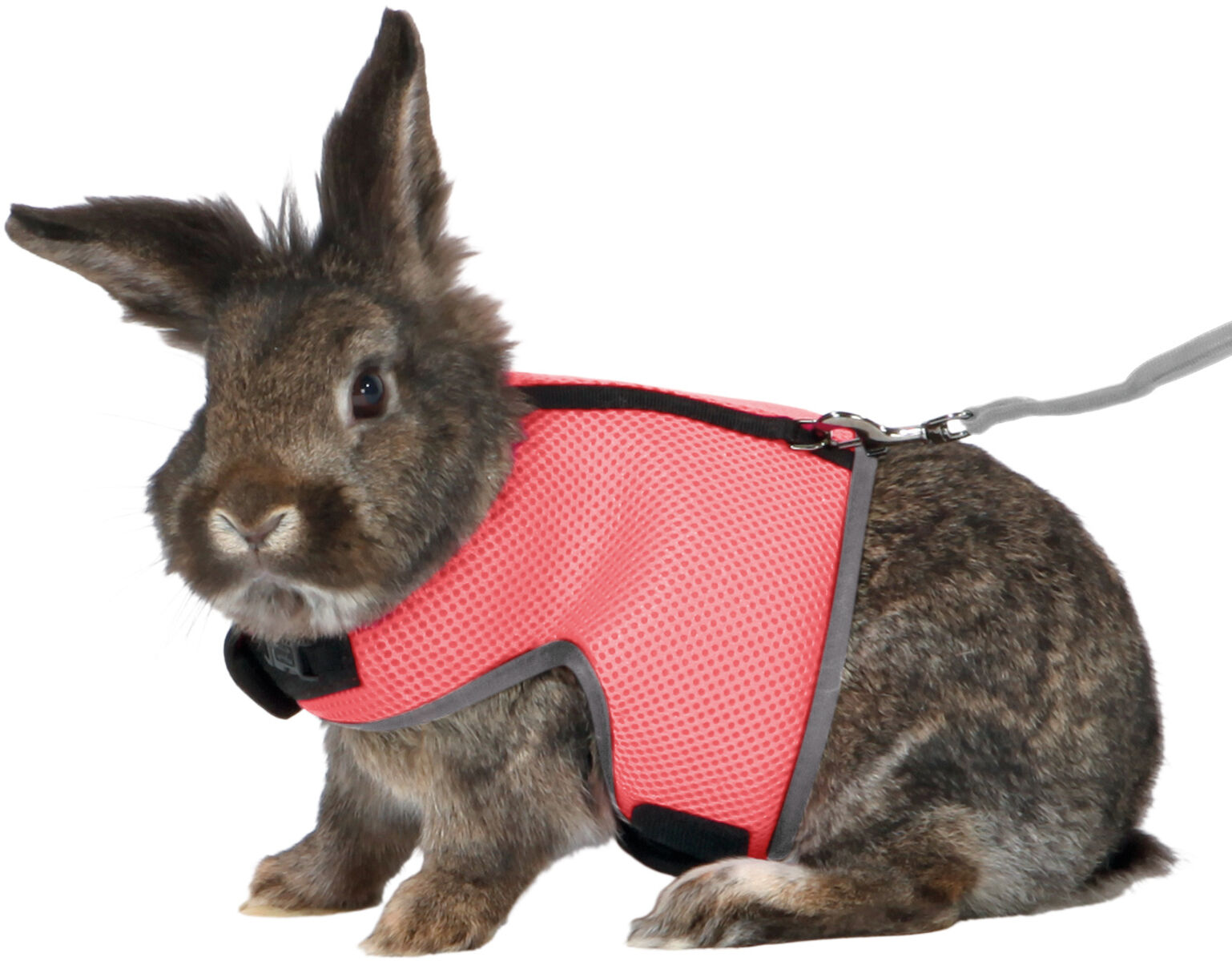 Ham Si Lesa Pentru Iepuri, Soft, 25-40 cm/1.20 m, Diverse Culori [3]