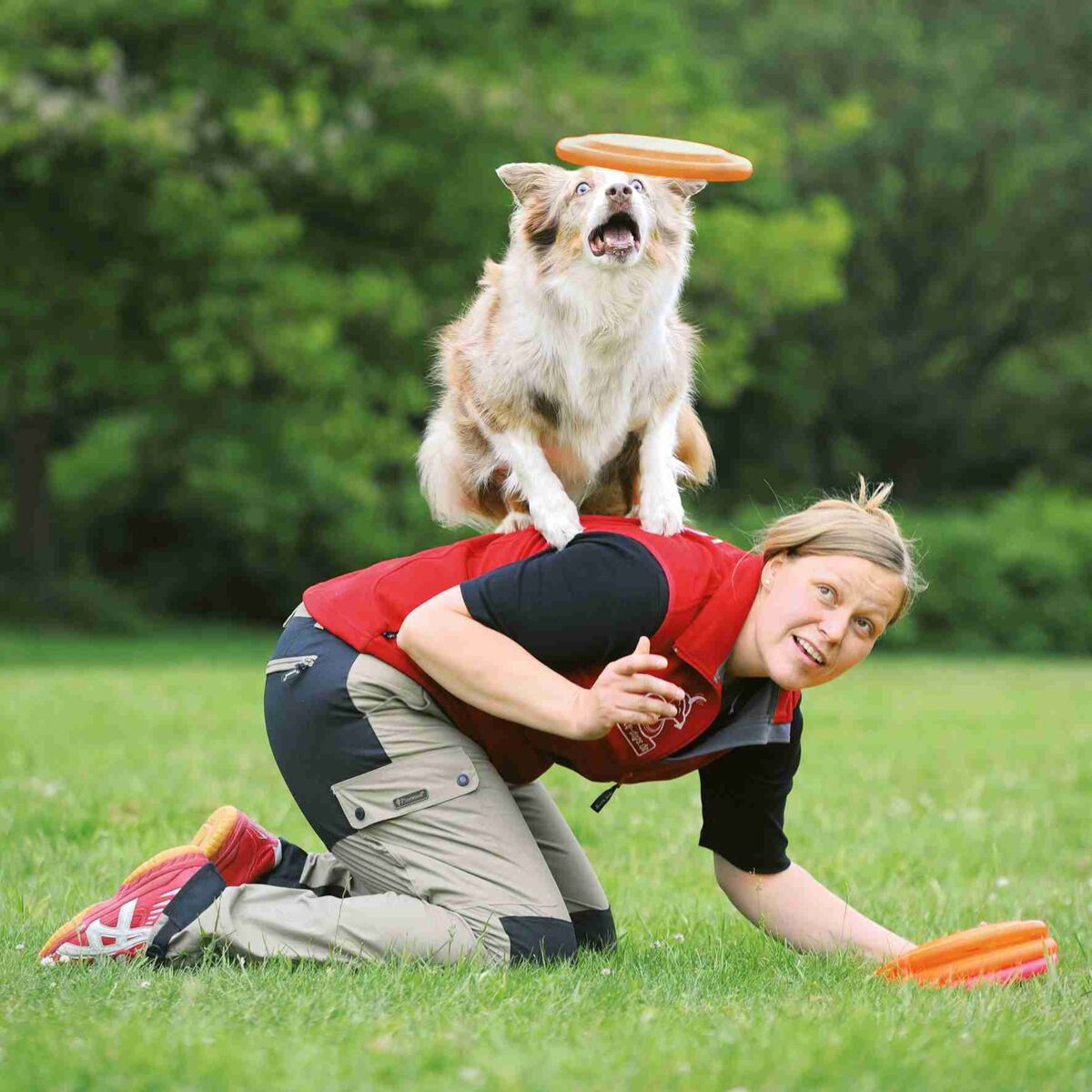 Jucarie Dog Activity, Frissbee, Diverse Culori, 19 cm [3]