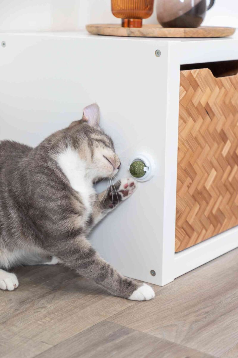 Jucarie Pentru Pisici, Minge Catnip Cu Suport, 5 cm [3]