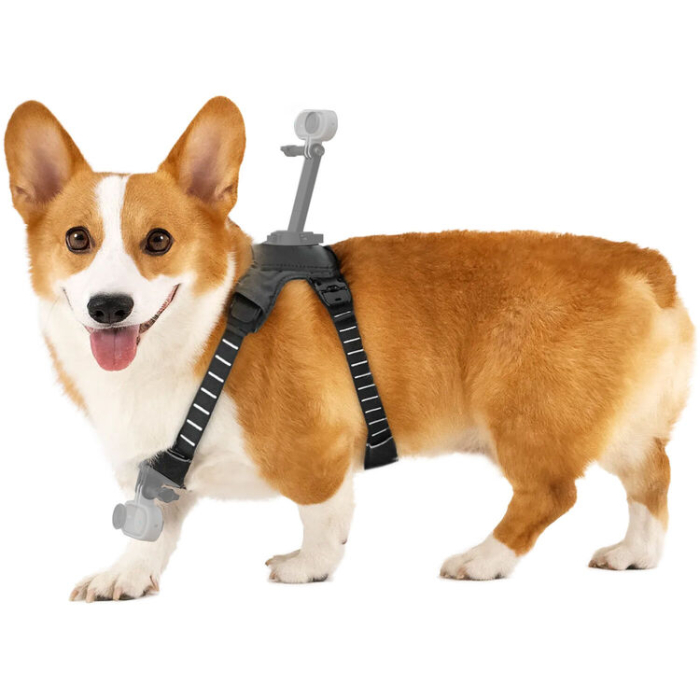 Ham pentru animale de companie Insta360, Marimea M [4]