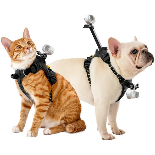 Ham pentru animale de companie Insta360, Marimea S [4]