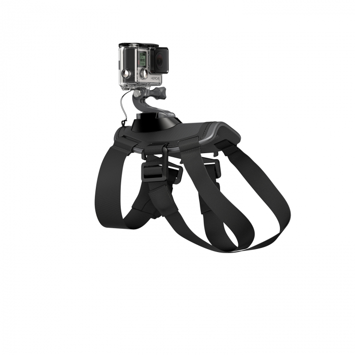 Ham pentru caine GoPro [4]