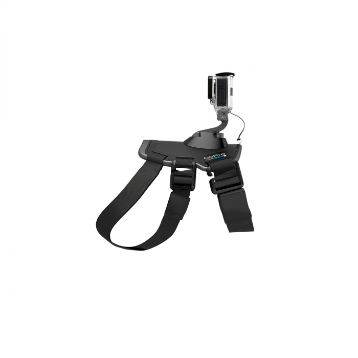 Ham pentru caine GoPro [3]