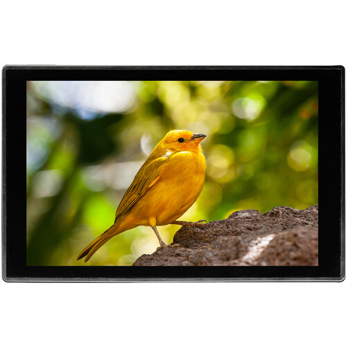 Monitor Portkeys HD7T [2]