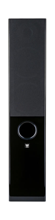 Boxa de podea WILSON RAPTOR 5 Black – HiFi Stereo Premium [4]