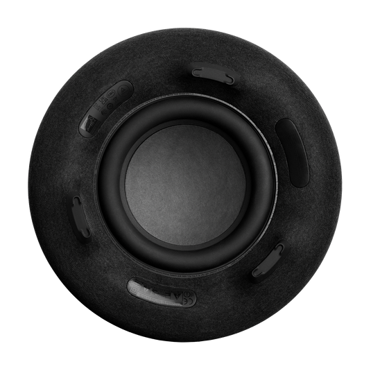 Sistem audio Harman Kardon Aura Studio 4, Negru [14]