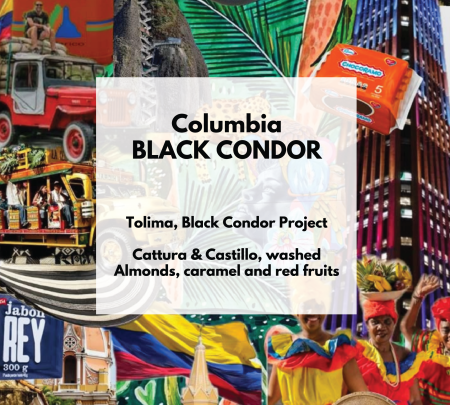 Cafea de specialitate - Columbia Black Condor