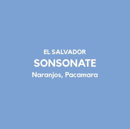 Coffee Corner - Cafea de specialitate El Salvador SONSONATE